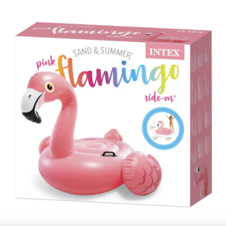 طفاحية الفلامنقو – حجم وسط